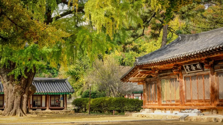 best time to visit Korea