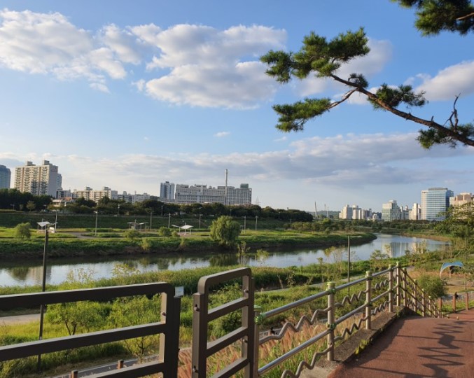 5 Charming Seoul Stream Walks for Ultimate Urban Relaxation