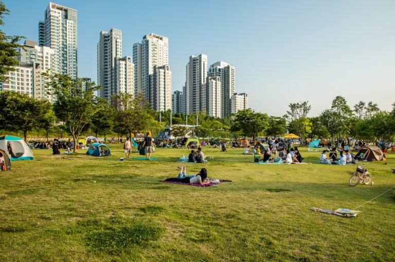 Han River Picnic in Summer — 4 Parks, 4 Evening Routines